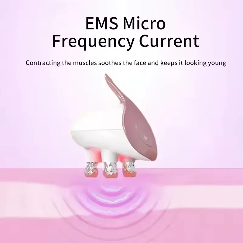 헤드 홈 유즈 페이셜 5가지 라이트 컬러 모드 기기 E - Face Massager 리뷰 및 가격